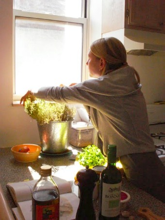 snipping thyme