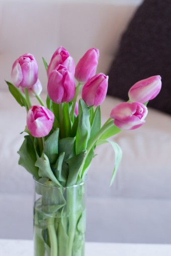 pink tulips