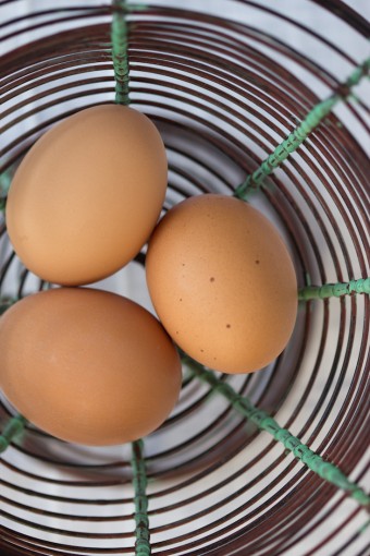 eggs