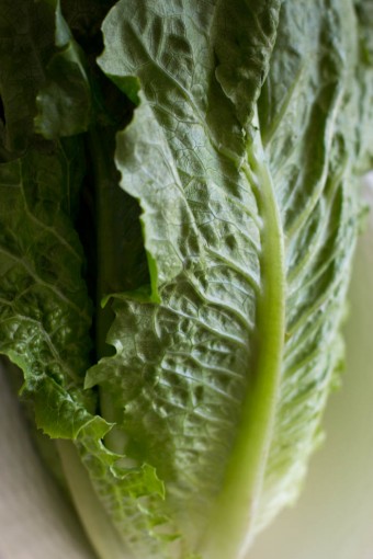 romaine