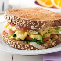 eggtastic breakfast sandwich