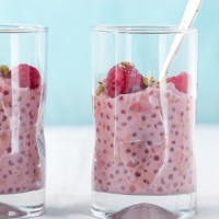 vegan raspberry tapioca pudding
