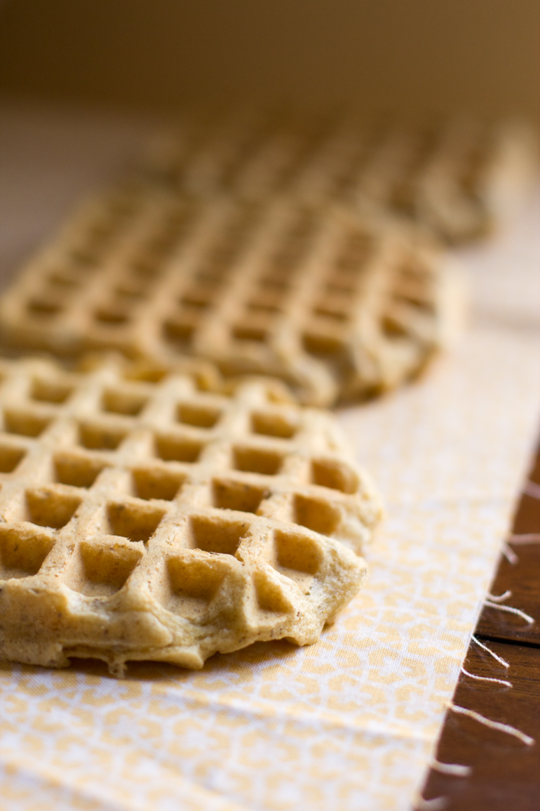 Savory Hummus Waffles dramatic pancake